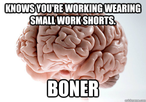 knows you're working wearing small work shorts. boner  Scumbag Brain