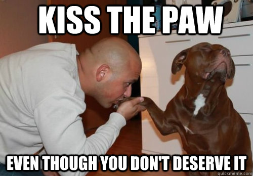 kiss the paw even though you don't deserve it  Royalty Dog