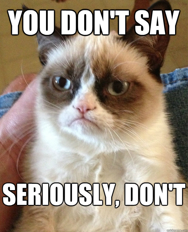 You don't say Seriously, don't  Grumpy Cat