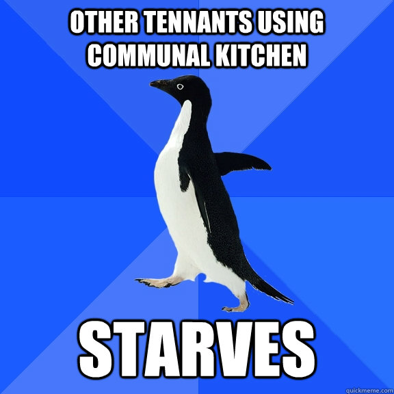 Other tennants using communal kitchen starves  Socially Awkward Penguin