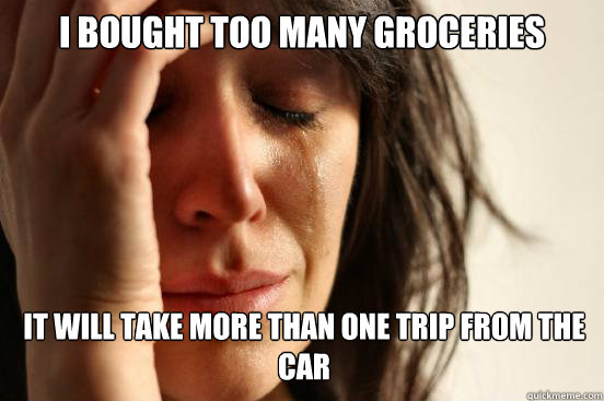 I BOUGHT TOO MANY GROCERIES IT WILL TAKE MORE THAN ONE TRIP FROM THE CAR  First World Problems