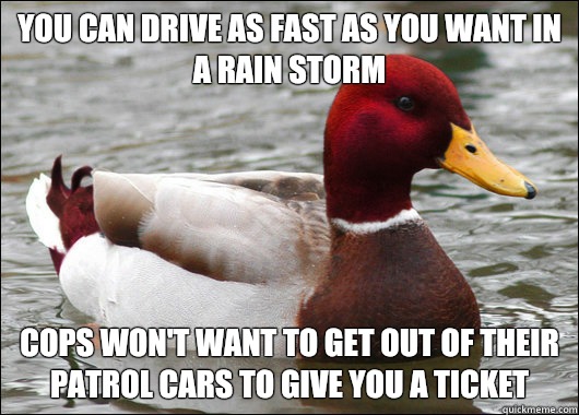 You can drive as fast as you want in a rain storm
 Cops won't want to get out of their patrol cars to give you a ticket - You can drive as fast as you want in a rain storm
 Cops won't want to get out of their patrol cars to give you a ticket  Malicious Advice Mallard