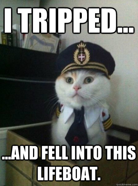 I tripped... ...and fell into this lifeboat.  Captain kitteh