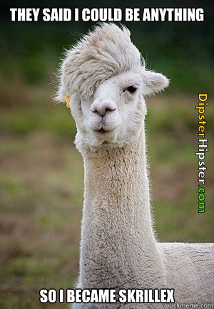 THey said i could be anything so i became skrillex - THey said i could be anything so i became skrillex  Hipster Llama