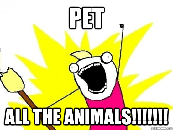 PET ALL THE ANIMALS!!!!!!!  