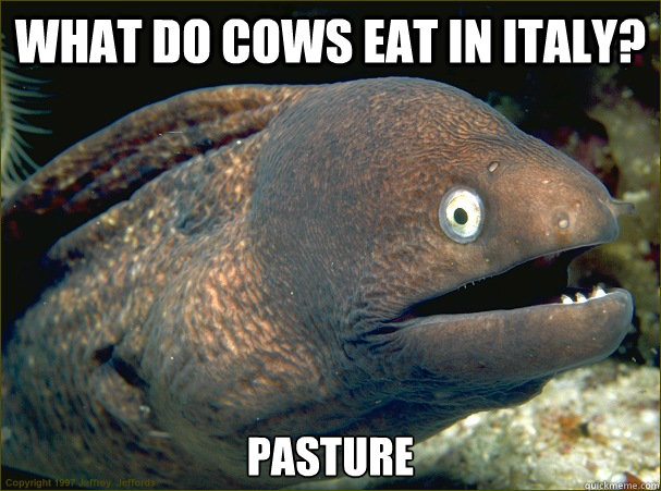 What do cows eat in Italy? Pasture  Bad Joke Eel