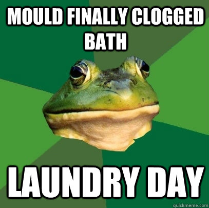 mould finally clogged bath laundry day  Foul Bachelor Frog