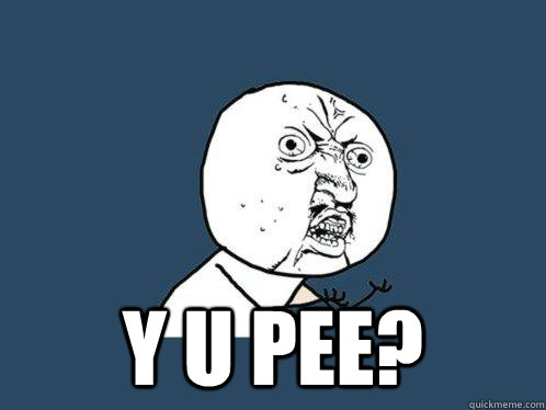  y u pee?  Y U No