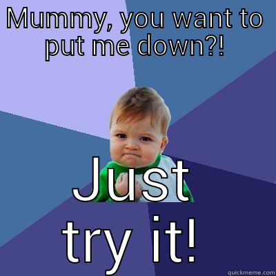 MUMMY, YOU WANT TO PUT ME DOWN?! JUST TRY IT! Success Kid