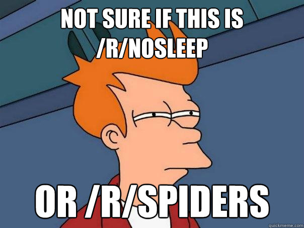 Not sure if this is /r/nosleep or /R/spiders - Not sure if this is /r/nosleep or /R/spiders  Futurama Fry