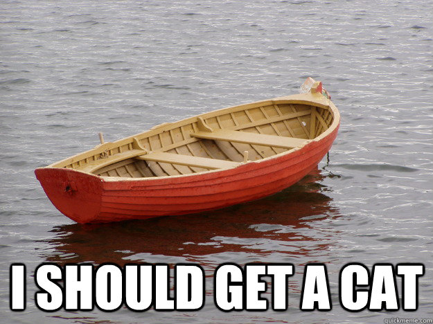 I should get a cat - I should get a cat  Lonely Boat