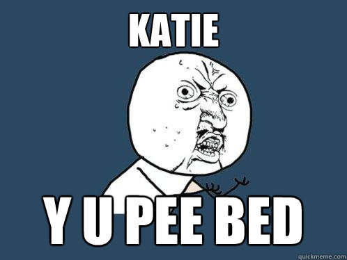 KATIE Y U PEE BED  Y U No