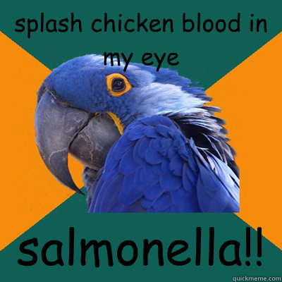 splash chicken blood in my eye salmonella!!   Paranoid Parrot