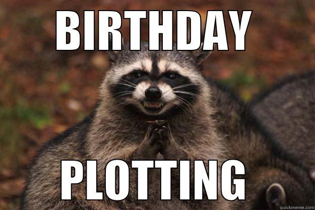 BIRTHDAY PLOTTING Evil Plotting Raccoon