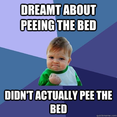 Dreamt about peeing the bed Didn't actually pee the bed  Success Kid
