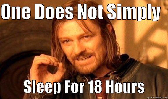 ONE DOES NOT SIMPLY            SLEEP FOR 18 HOURS        One Does Not Simply