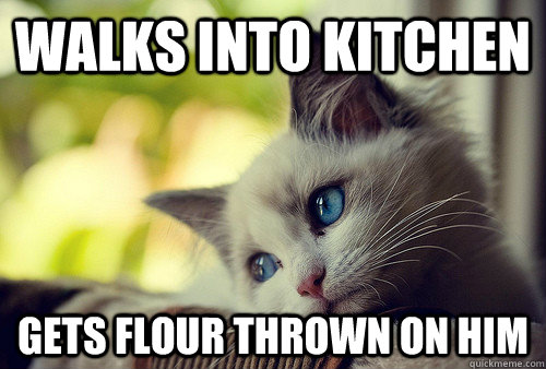 walks into kitchen gets flour thrown on him  First World Problems Cat