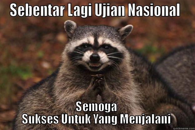 Semoga Sukses Untuk Yang Menjalani - SEBENTAR LAGI UJIAN NASIONAL  SEMOGA SUKSES UNTUK YANG MENJALANI Evil Plotting Raccoon