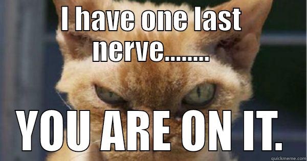 I HAVE ONE LAST NERVE........ YOU ARE ON IT. Misc