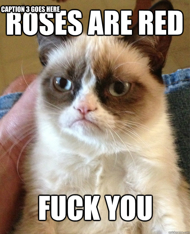 ROSES ARE RED FUCK YOU Caption 3 goes here  Grumpy Cat