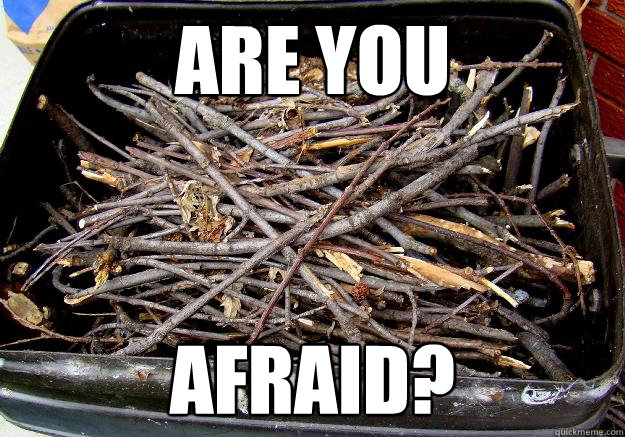 are you afraid? - are you afraid?  Fiddlesticks