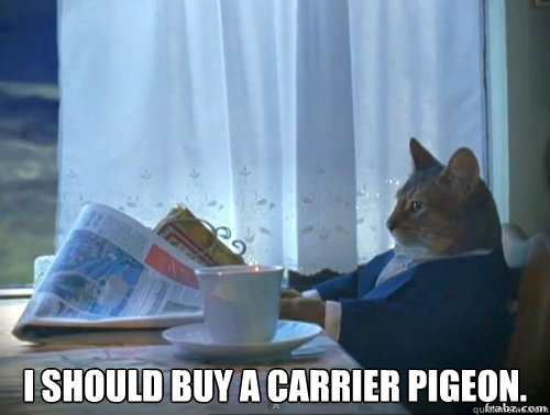  I should buy a carrier pigeon. -  I should buy a carrier pigeon.  Contemplative Breakfast Cat