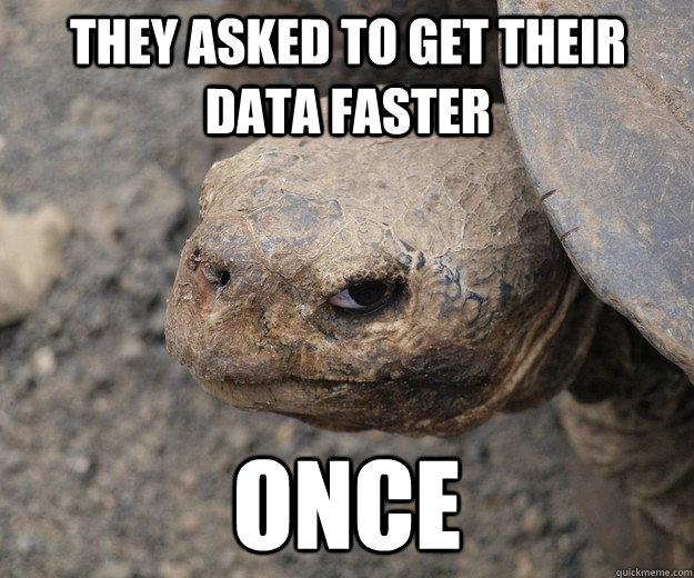 They asked to get their data faster Once - They asked to get their data faster Once  Angry Turtle