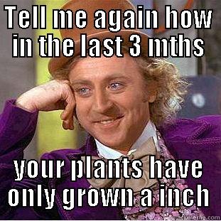 TELL ME AGAIN HOW IN THE LAST 3 MTHS YOUR PLANTS HAVE ONLY GROWN A INCH Condescending Wonka