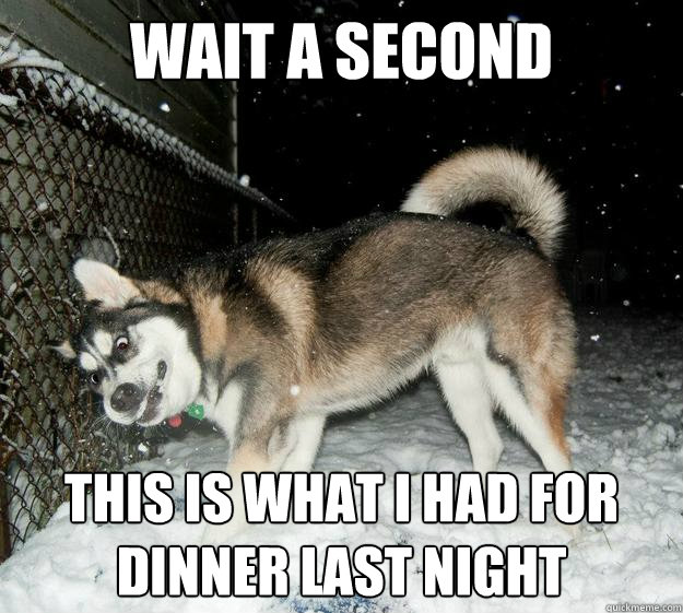wait a second this is what i had for dinner last night  Sudden Clarity Canine