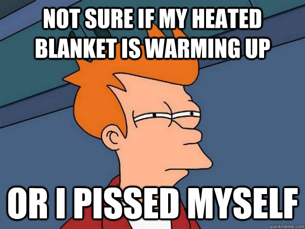 Not sure if my heated blanket is warming up or i pissed myself   Futurama Fry