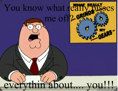 You know what really pisses me off? everythin about.... you!!!  Grinds my gears