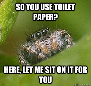 so you use toilet paper? here, let me sit on it for you  Misunderstood Spider