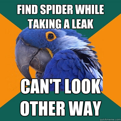 Find spider while taking a leak can't look other way  Paranoid Parrot