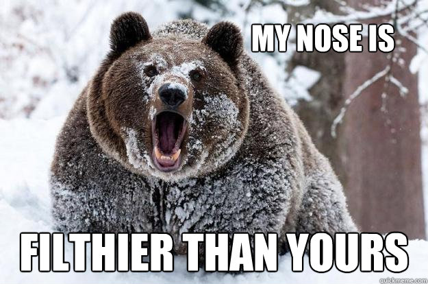 my nose is filthier than yours - my nose is filthier than yours  Dubstep Bear