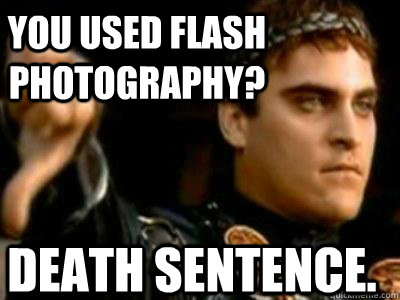 You used flash photography? Death sentence.  Downvoting Roman