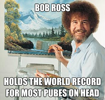 bob ross holds the world record for most pubes on head  BossRob