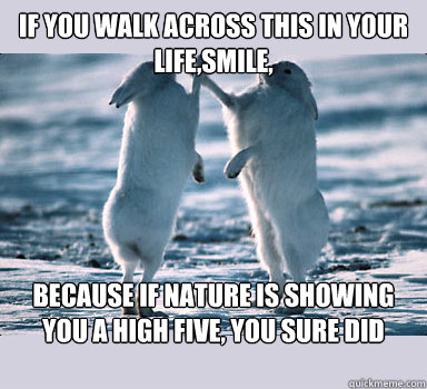 If you walk across this in your life,smile, because if nature is showing you a high five, you sure did something right...  Bunny Bros