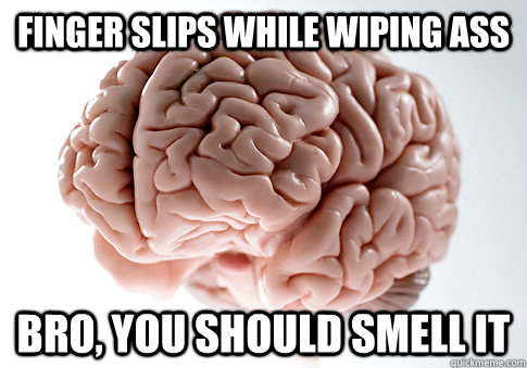 Finger slips while wiping ass Bro, you should smell it - Finger slips while wiping ass Bro, you should smell it  Scumbag Brain