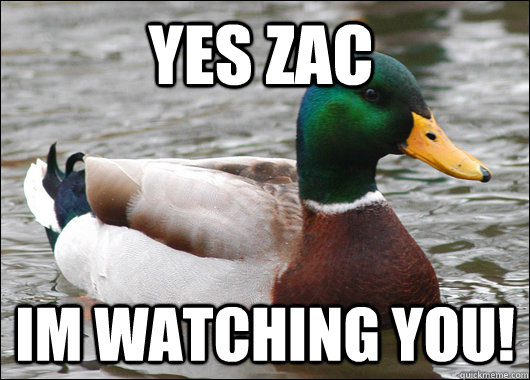 yes zac im watching you!  Actual Advice Mallard
