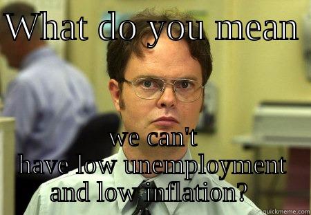 WHAT DO YOU MEAN  WE CAN'T HAVE LOW UNEMPLOYMENT AND LOW INFLATION?  Schrute