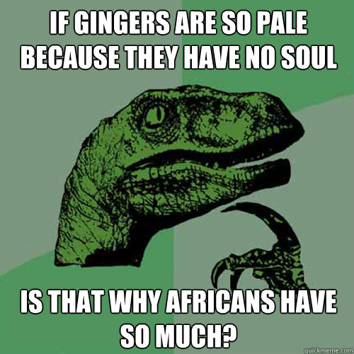 If Gingers Are So Pale Because They Have No Soul Is That Why Africans Have So Much?  Philosoraptor