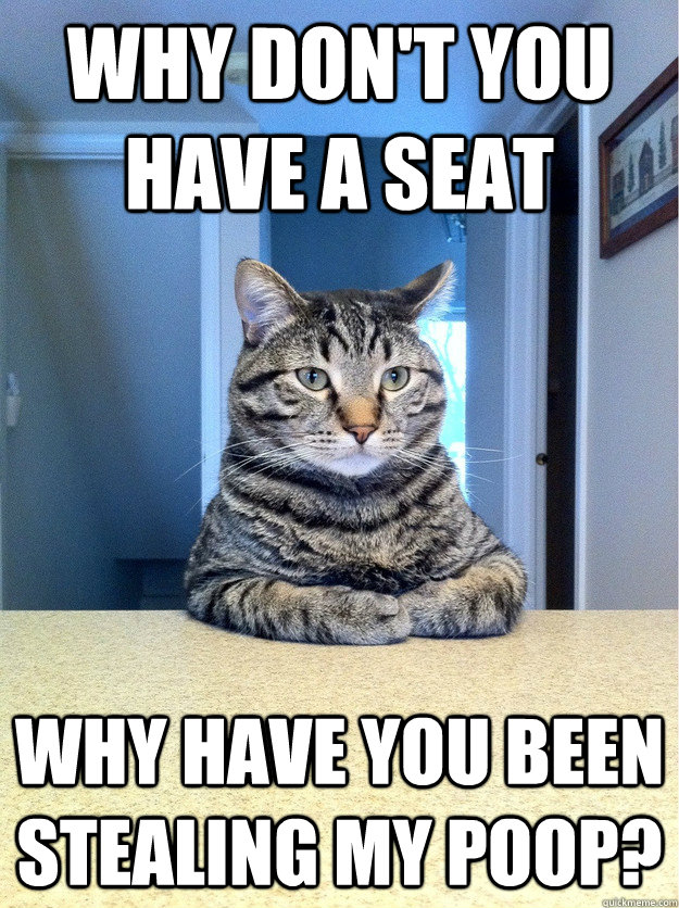 Why don't you have a seat Why have you been stealing my poop?  Chris Hansen Cat