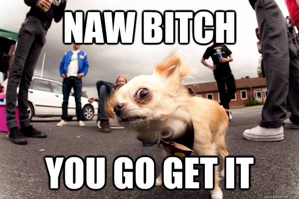 Naw bitch you go get it  