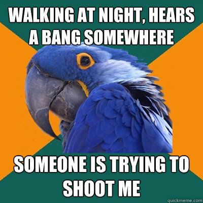 Walking at night, hears a bang somewhere someone is trying to shoot me  Paranoid Parrot