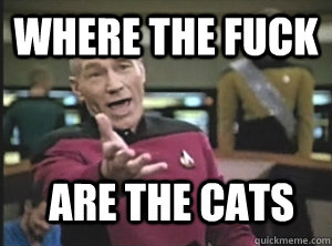 Where the fuck are the cats  Annoyed Picard