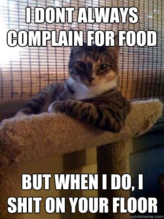 I dont always complain for food but when I do, I shit on your floor  The Most Interesting Cat in the World