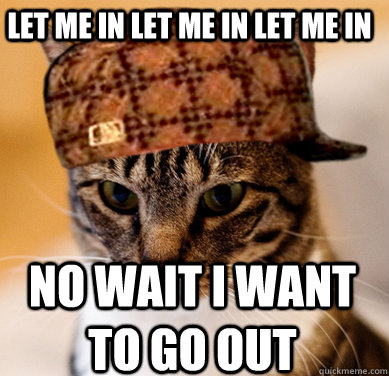 LET ME IN LET ME IN LET ME IN  NO WAIT I WANT TO GO OUT  Scumbag Cat