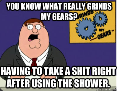 you know what really grinds my gears? Having to take a shit right after using the shower.  Grinds my gears