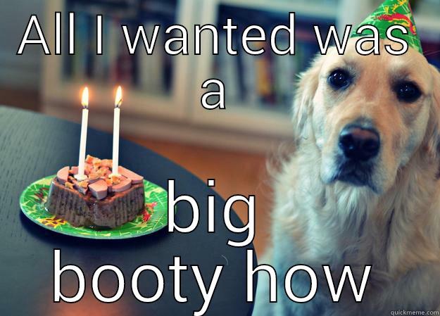 big booty how - ALL I WANTED WAS A BIG BOOTY HOW Sad Birthday Dog