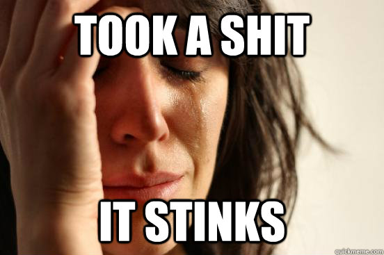 took a shit it stinks  First World Problems